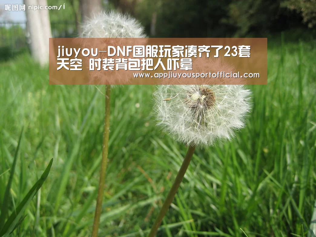 jiuyou-DNF国服玩家凑齐了23套天空 时装背包把人吓晕(图2) 九游官网