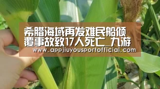 希腊海域再发难民船倾覆事故致17人死亡_九游(图4) 希腊海域再发难民船倾覆事故致17人死亡_九游(图4)