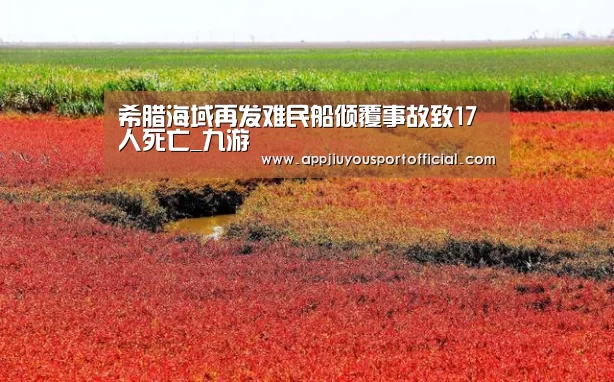 希腊海域再发难民船倾覆事故致17人死亡_九游(图3) 九游
