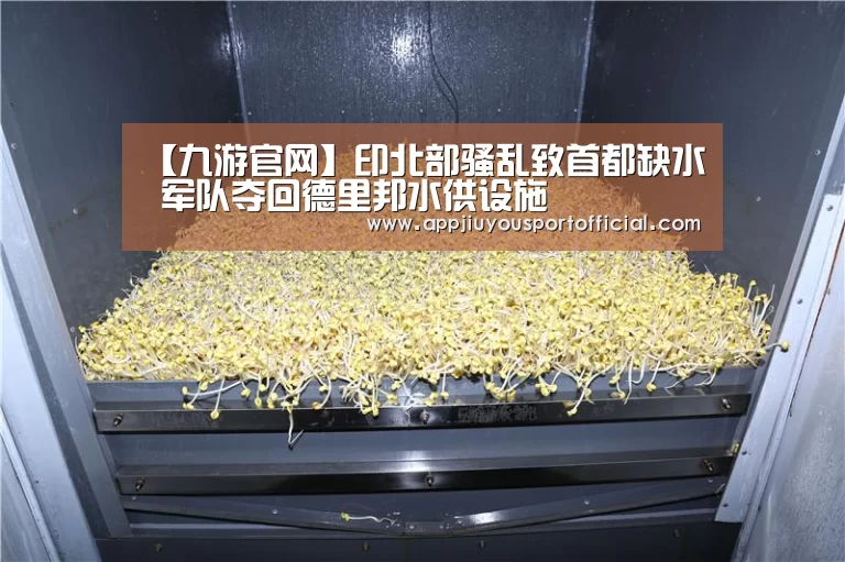 【九游官网】印北部骚乱致首都缺水 军队夺回德里邦水供设施(图3) 九游官网