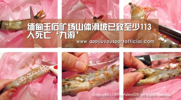 九游